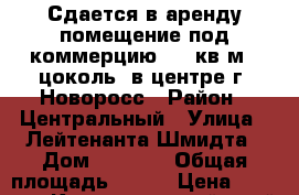 Сдается в аренду помещение под коммерцию 133 кв.м. (цоколь) в центре г. Новоросс › Район ­ Центральный › Улица ­ Лейтенанта Шмидта › Дом ­ 1 000 › Общая площадь ­ 133 › Цена ­ 50 000 - Краснодарский край, Новороссийск г. Недвижимость » Помещения аренда   . Краснодарский край,Новороссийск г.